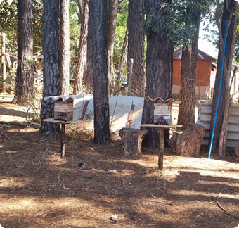 Educação do Campo em Minas Gerais
